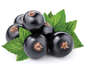 Liquid Blackcurrant Flavour