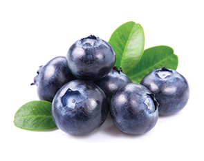 Liquid Blueberry Flavour