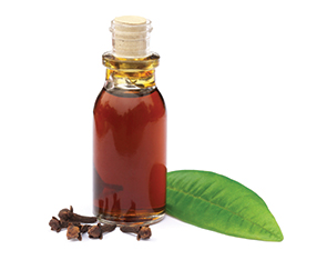 Liquid Clove Oil Flavour