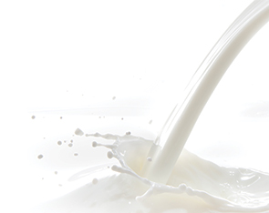 Artificial Liquid Milk Flavour
