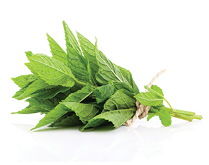 Liquid Spearmint Flavour