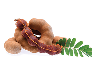 Artificial Liquid Tamarind Flavour from Keva