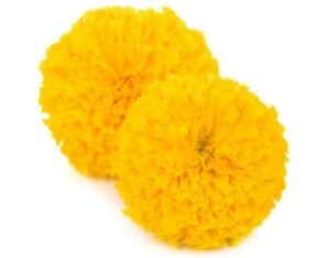Marigold Liquid Flavour